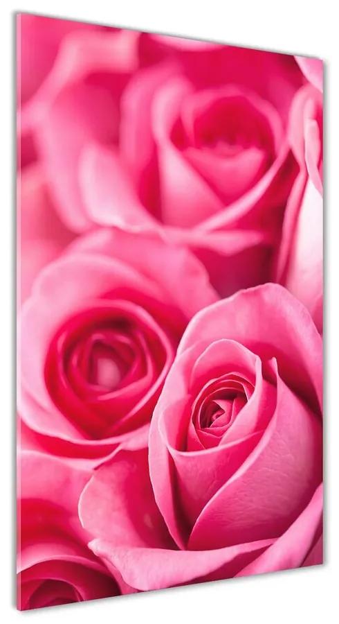 Moderný akrylový fotoobraz Ružové ruže pl-oa-70x140-f-62775454