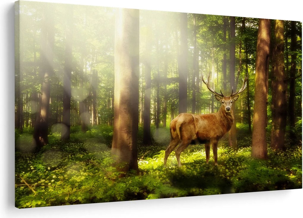 Obraz jeleňa v lese (90x60 cm)
