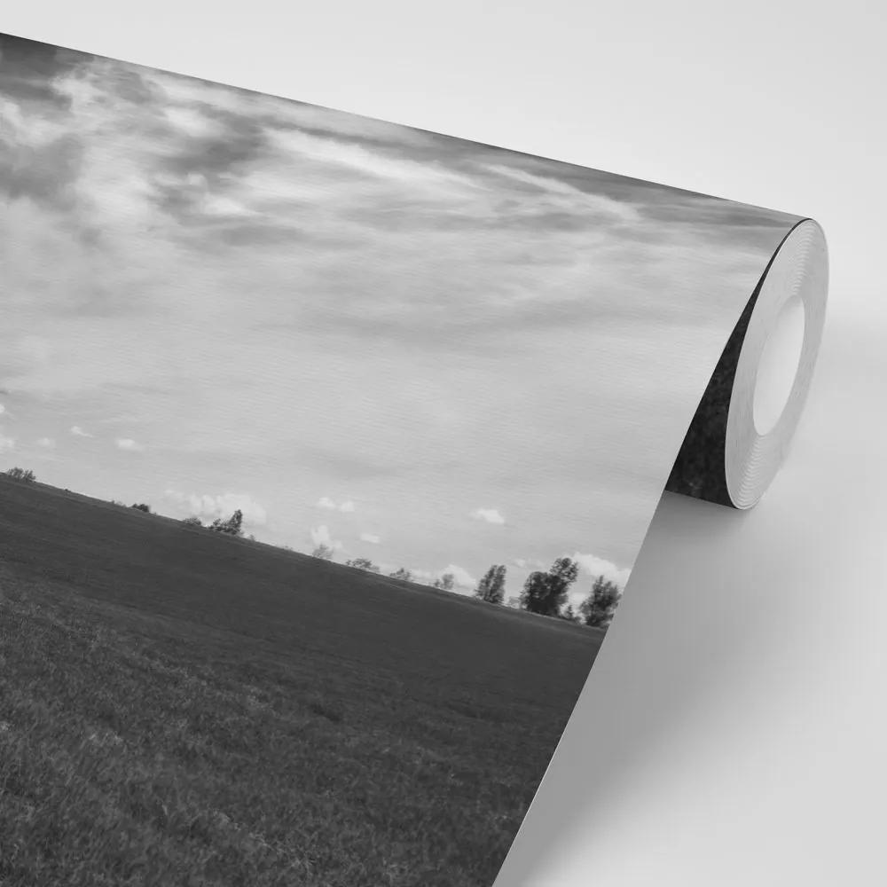 Samolepiaca fototapeta čiernobiela čarokrásna krajina - 150x100