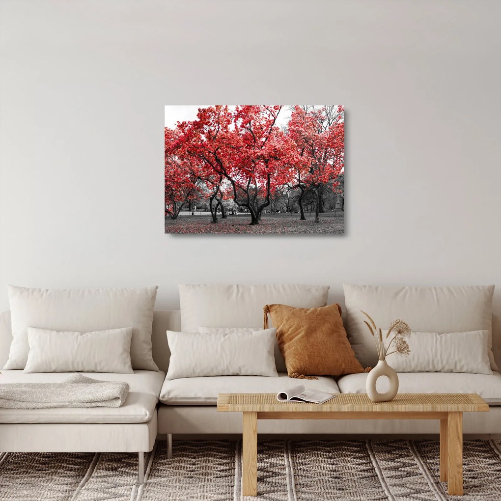 Sklenený obraz - Červené stromy, Central Park, New York (70x50 cm)