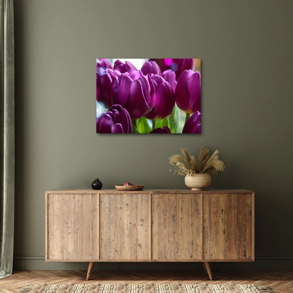 Obraz tulipánov (70x50 cm)