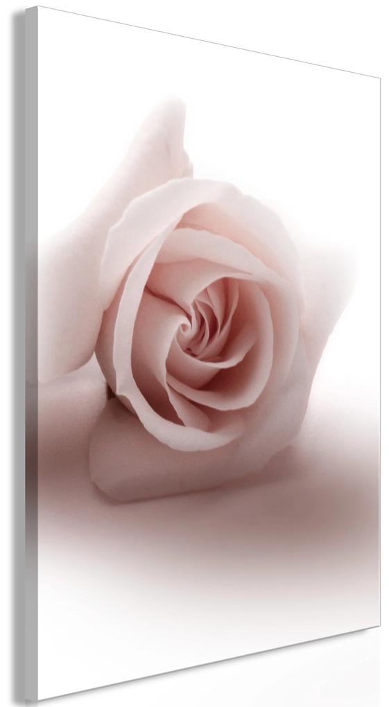 Artgeist Obraz - Rose Shadow (1 Part) Vertical Veľkosť: 40x60, Verzia: Standard