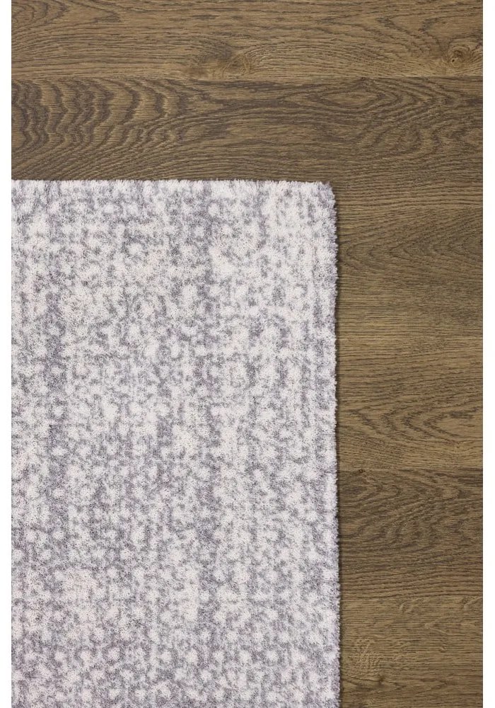 Svetlosivý vlnený koberec 160x240 cm Eden – Agnella
