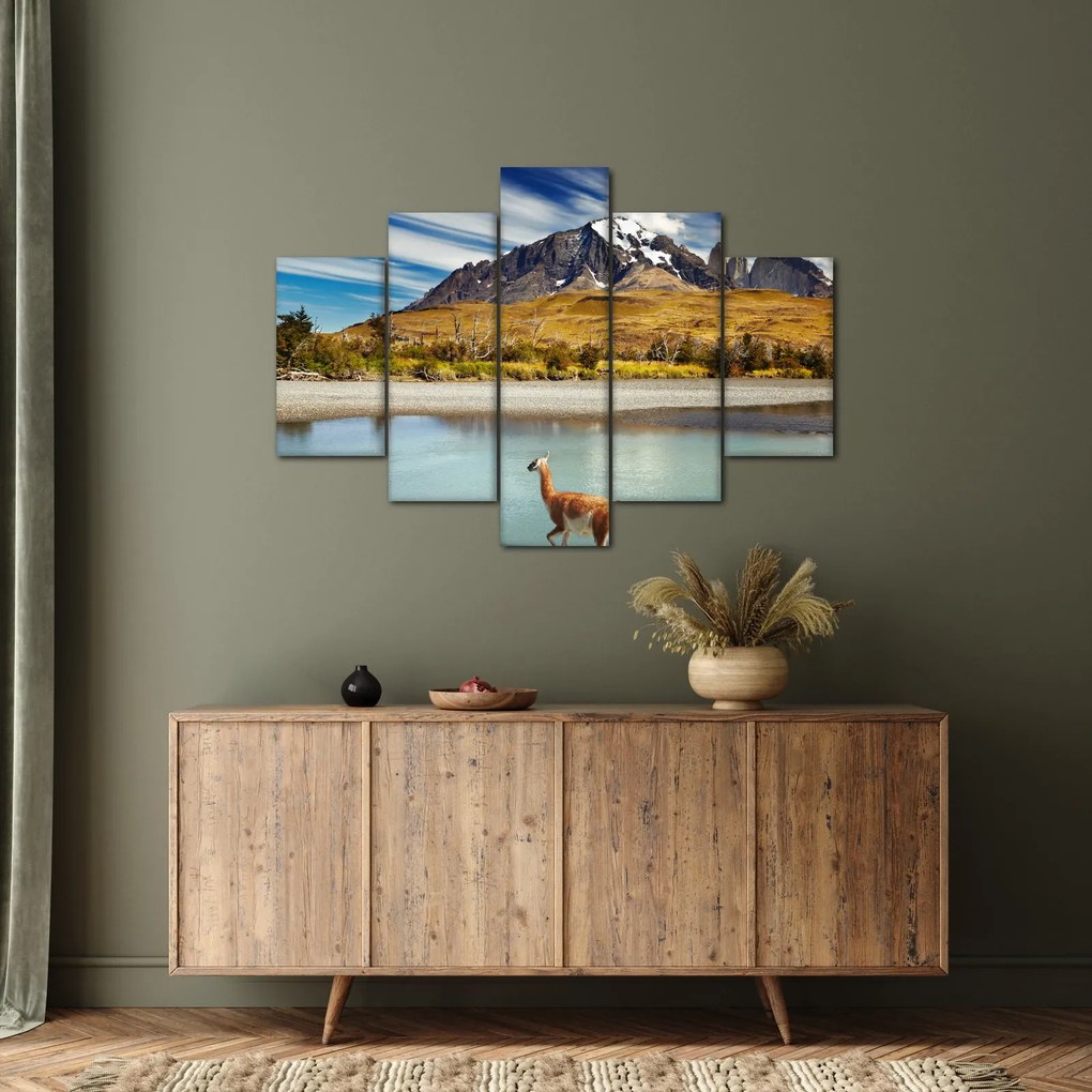 Obraz - Národný park Torres del Paine (150x105 cm)