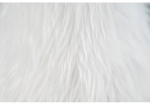 Happy Lamps - LED Detská stolná lampa HUGO LED/5,4W/230V býk