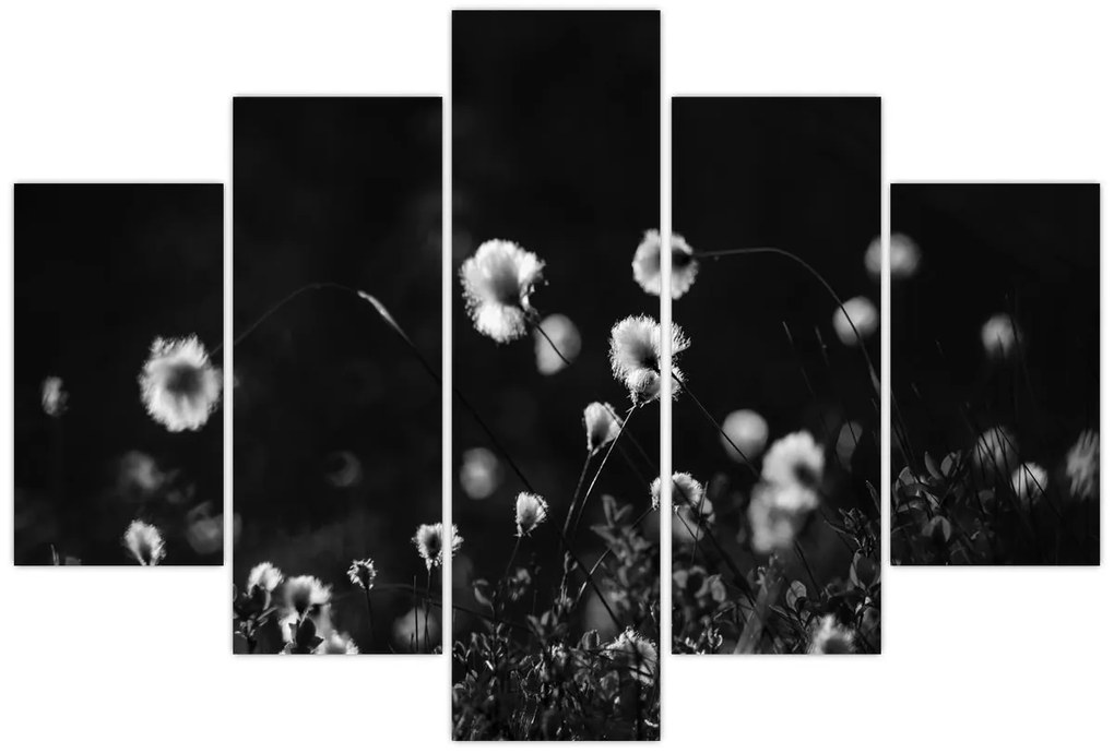 Obraz - Lúka s cottongrass N⁰1 (150x105 cm)