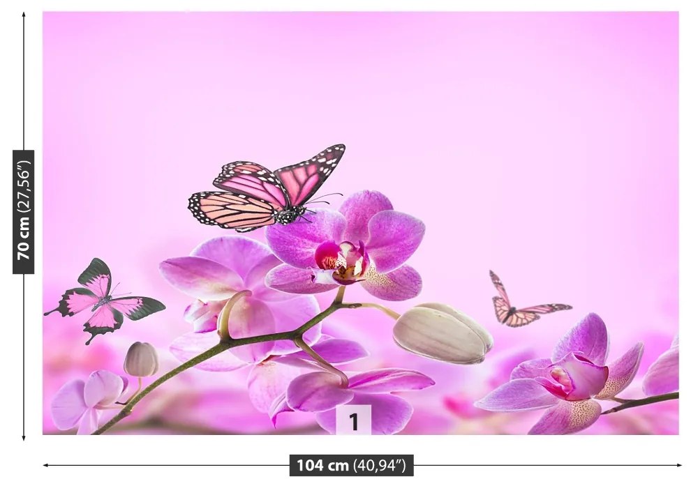 Fototapeta Vliesová Orchid motýľ 250x104 cm