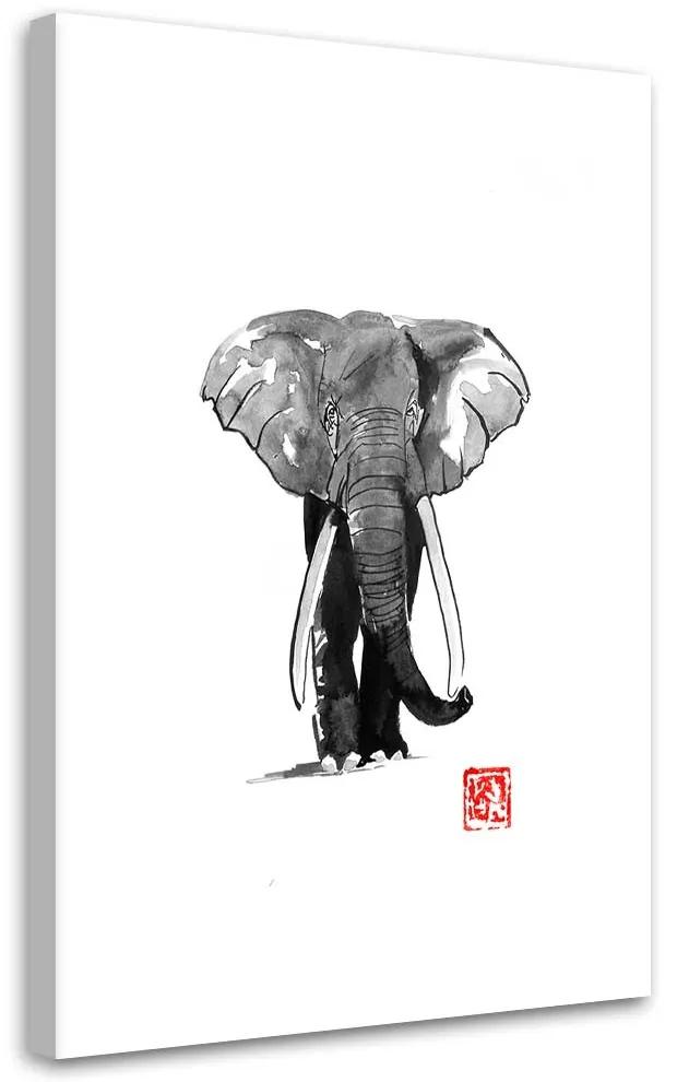 Gario Obraz na plátne Prechádzka so slonom - Péchane Rozmery: 40 x 60 cm
