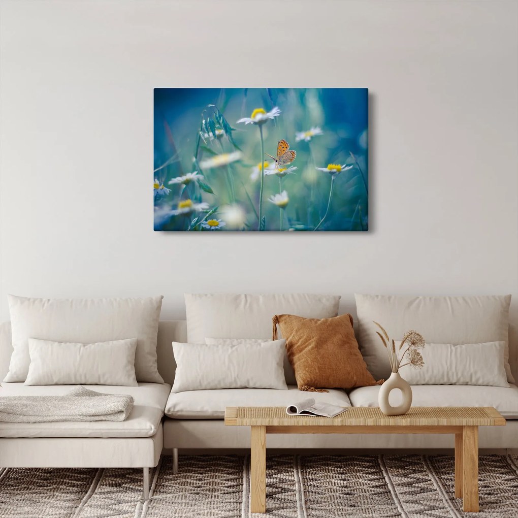 Obraz - Motýľ na sedmokráske (90x60 cm)