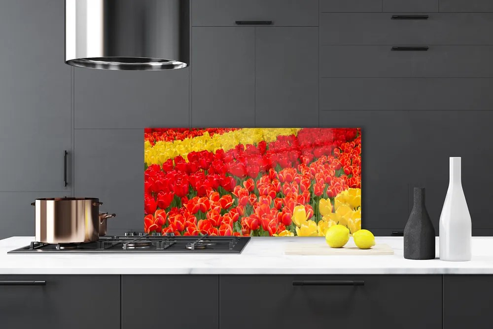 Nástenný panel  Tulipány kvety 120x60 cm