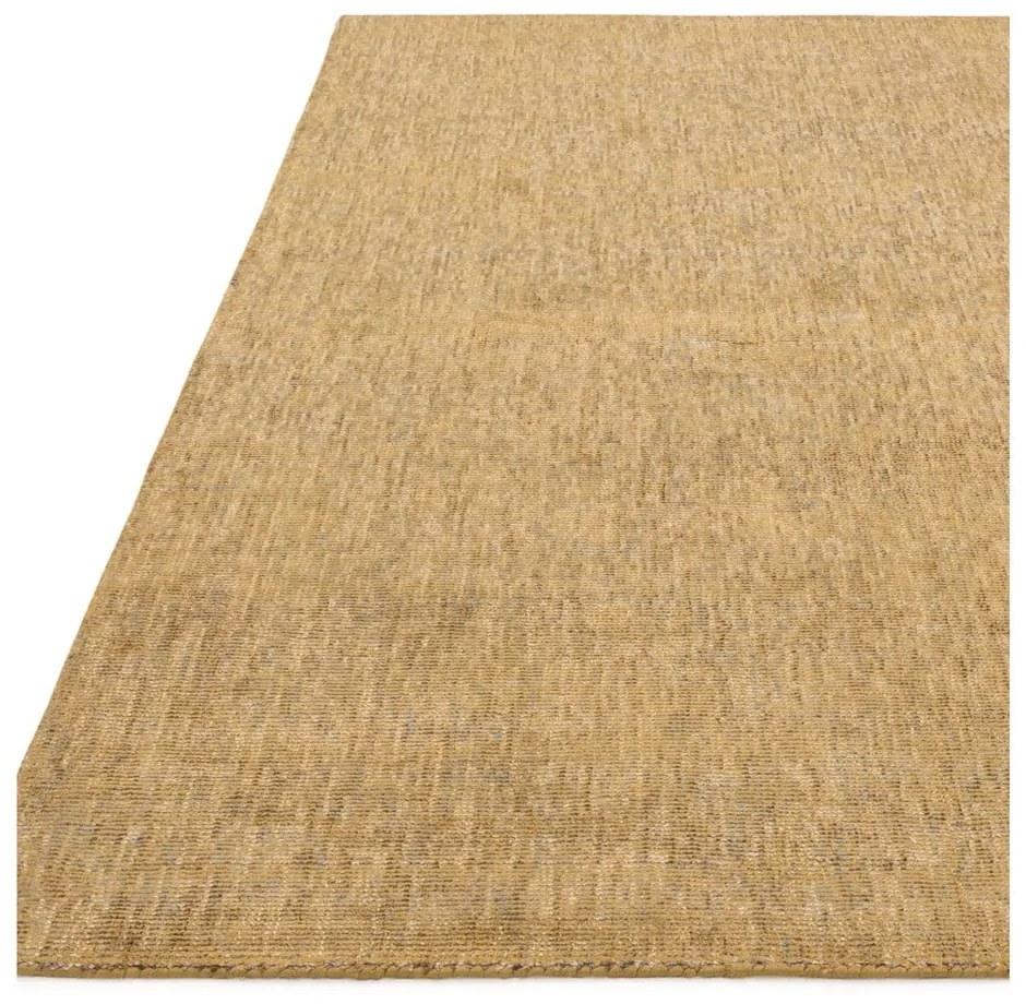 Žltý koberec 230x160 cm Aston - Asiatic Carpets