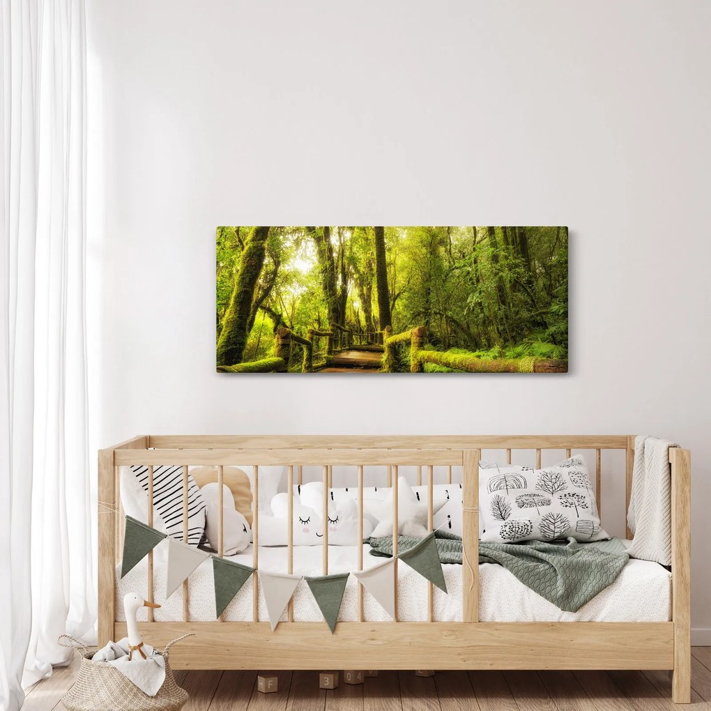 Obraz machové džungle (120x50 cm)