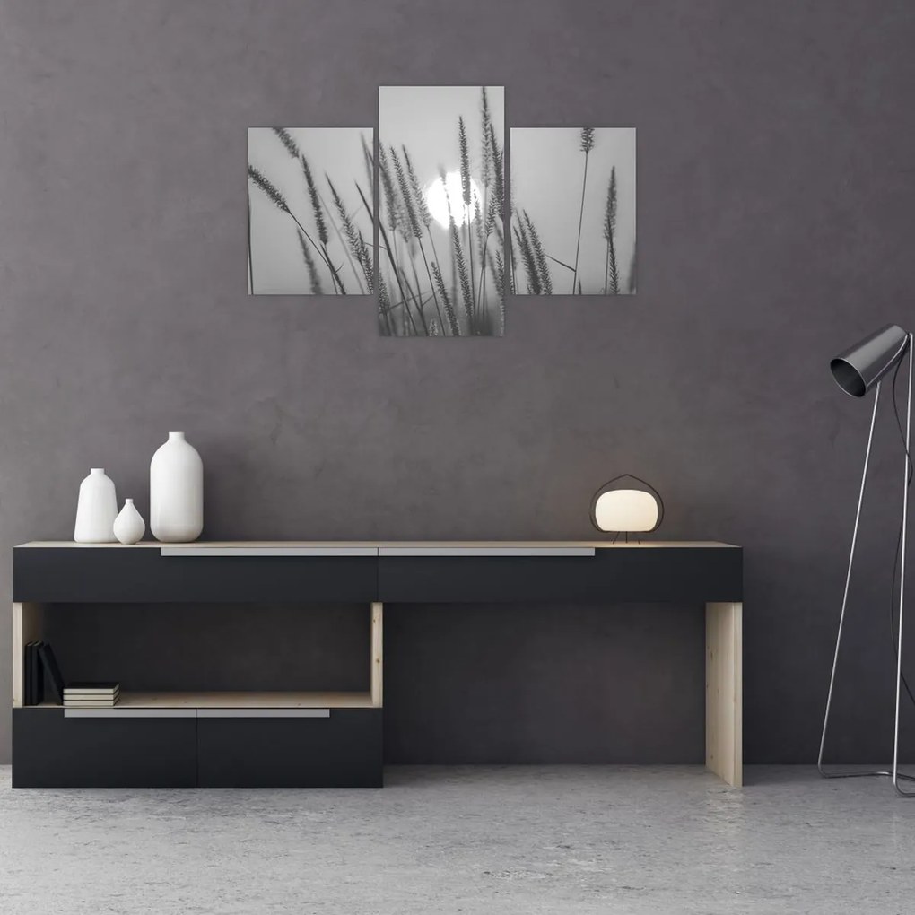 Obraz - Lúka pri západe slnka (90x60 cm)