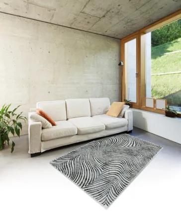 Koberce Breno Kusový koberec ARGENTUM 63738/7696, sivá, viacfarebná,200 x 290 cm