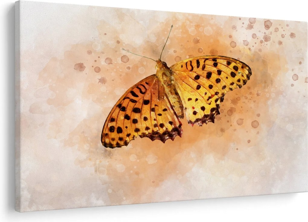 Obraz - Oranžový motýľ, aquarel (90x60 cm)
