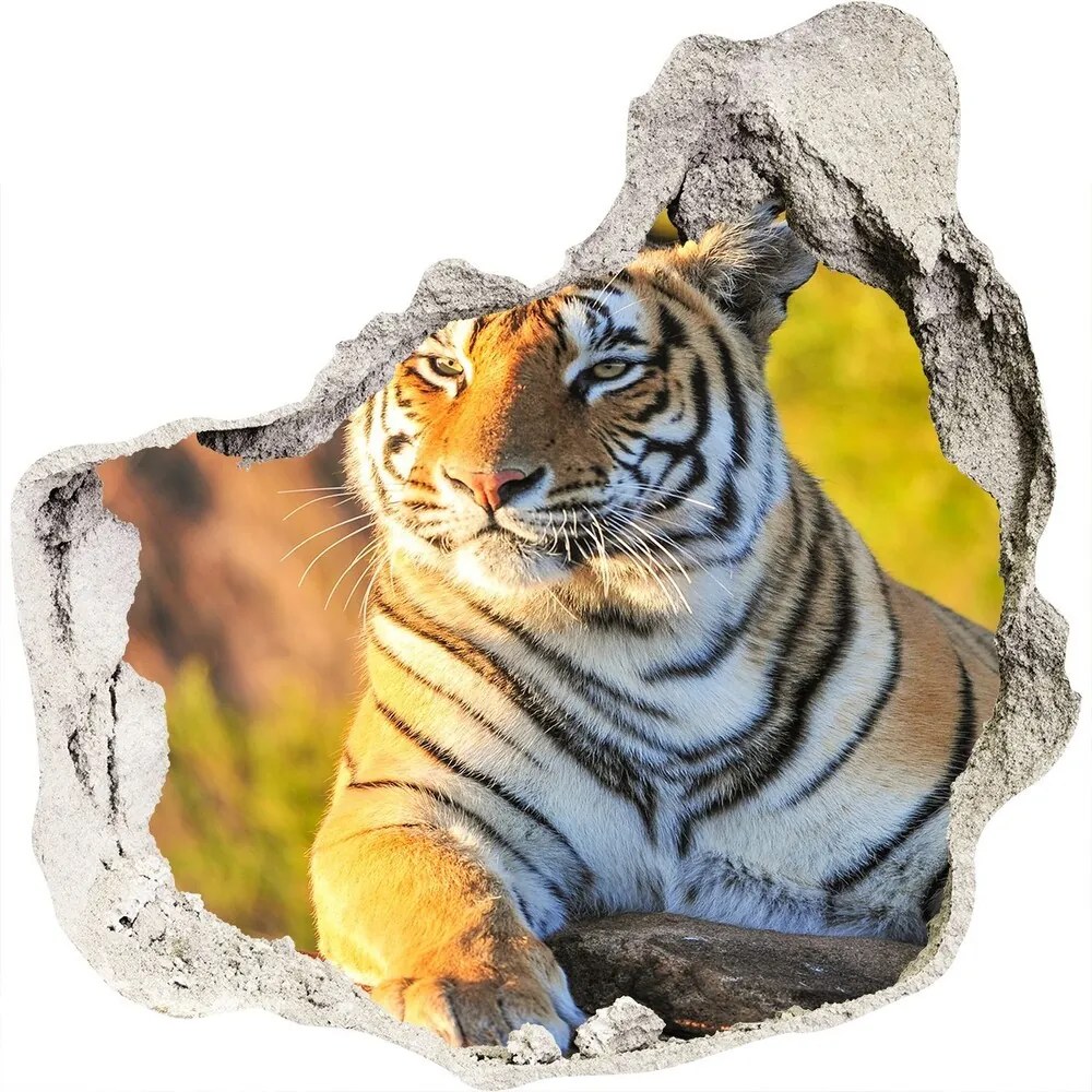 Diera 3D fototapety nálepka Portrét tigra WallHole-75x75-piask-65114965