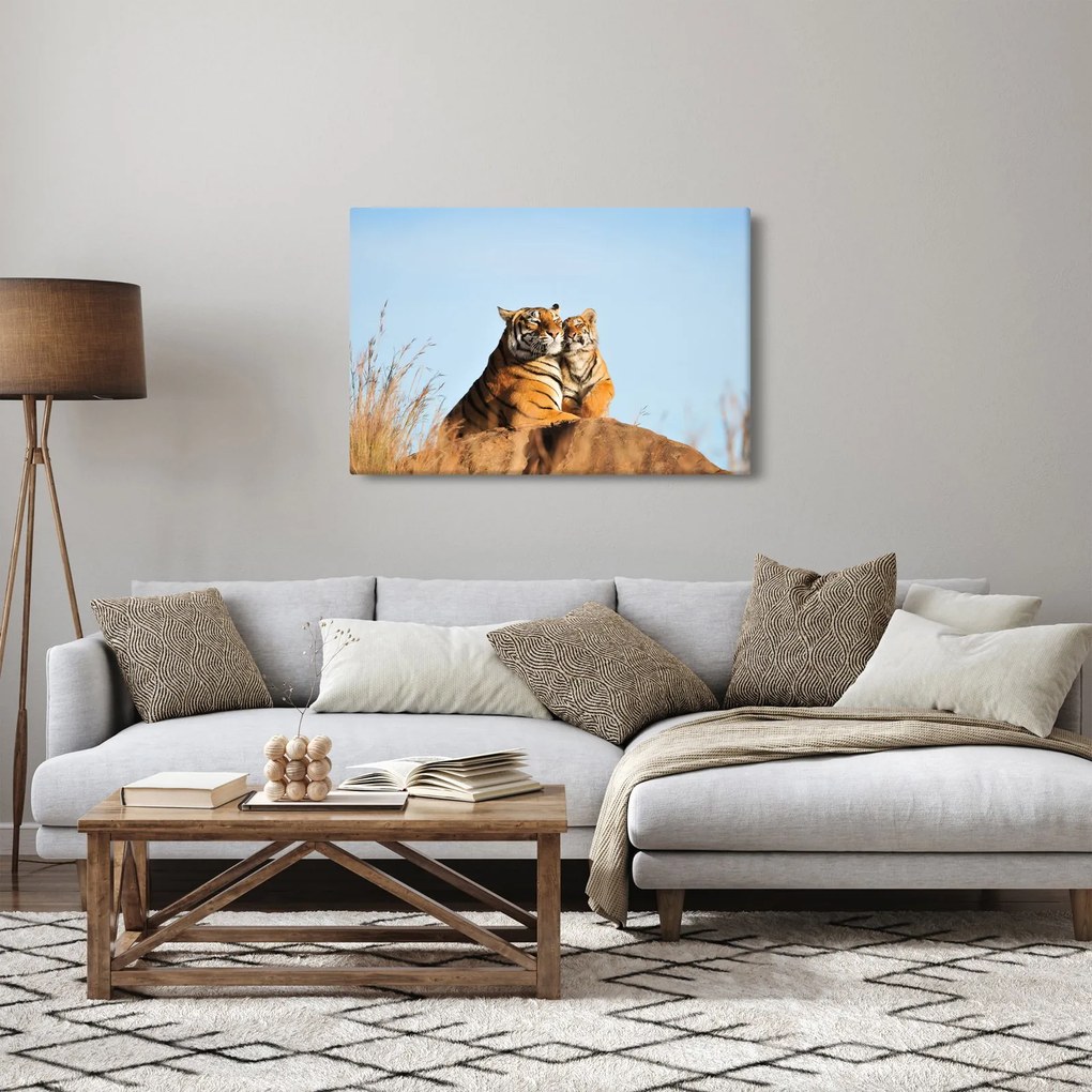 Obraz - Tigrice a jej mláďa (90x60 cm)