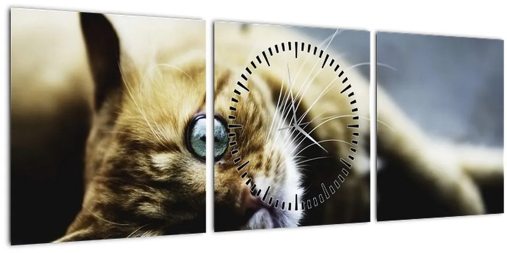 Obraz mačiatka (s hodinami) (90x30 cm)