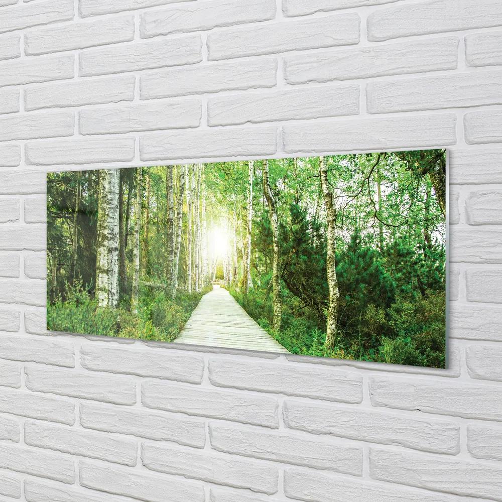 Obraz plexi Breza lesná cesta 120x60 cm