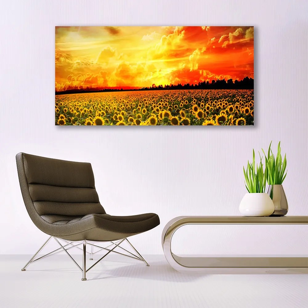 Obraz plexi Lúka slnečnica kvety 120x60 cm