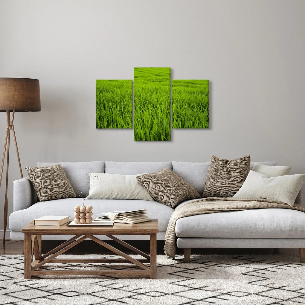 Obraz trávy (90x60 cm)