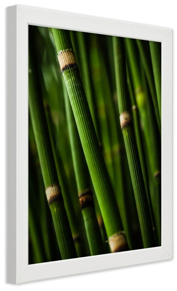 Gario Plagát Bambusový les Farba rámu: Bez rámu, Rozmery: 40 x 60 cm