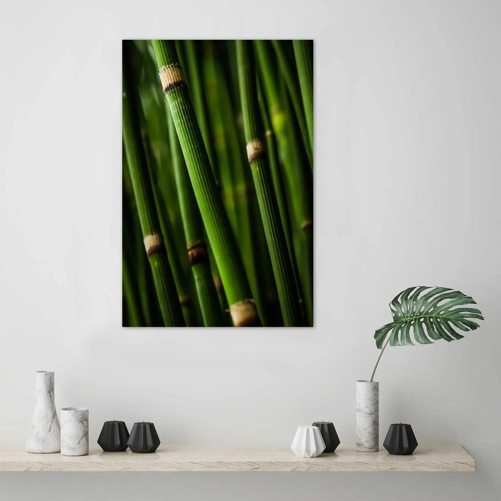 Gario Plagát Bambusový les Farba rámu: Bez rámu, Rozmery: 40 x 60 cm