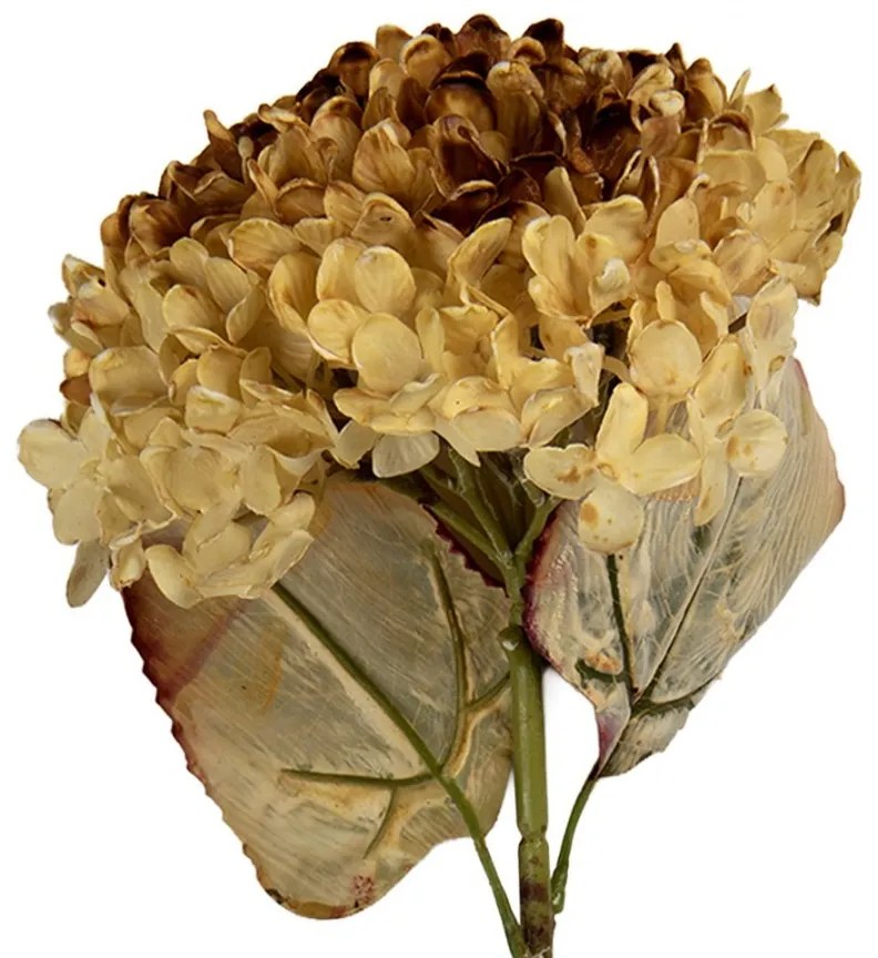 Béžová umelá dekorácia sušený kvet hortenzie - 15*15*47 cm