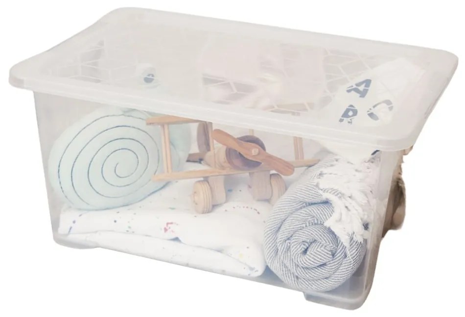 Rotho Univerzální úložný box, krabice s víkem, EVO, transparent - 58x39x28, 44l