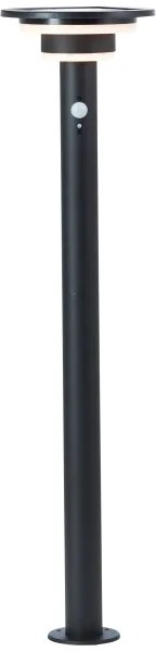 Brilliant - LED Solárna lampa so senzorom GARVINA LED/3W/3,7V 85 cm IP44 čierna