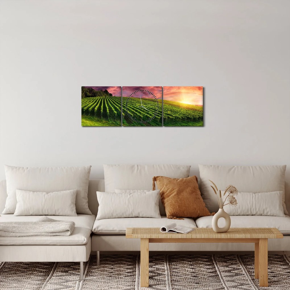 Obraz vinice s farebným nebom (s hodinami) (90x30 cm)