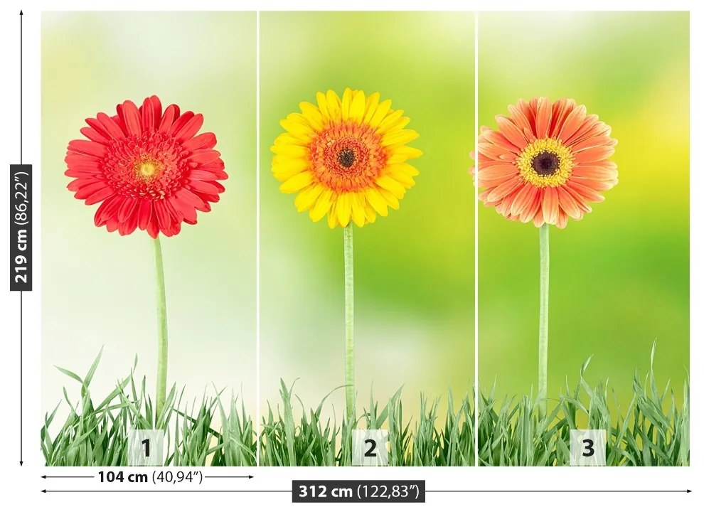 Fototapeta Vliesová Gerbera 208x146 cm