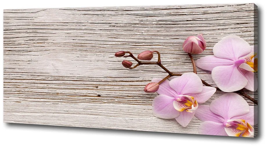 Moderný fotoobraz canvas na ráme Orchidea na strome pl-oc-125x50-f-62495656