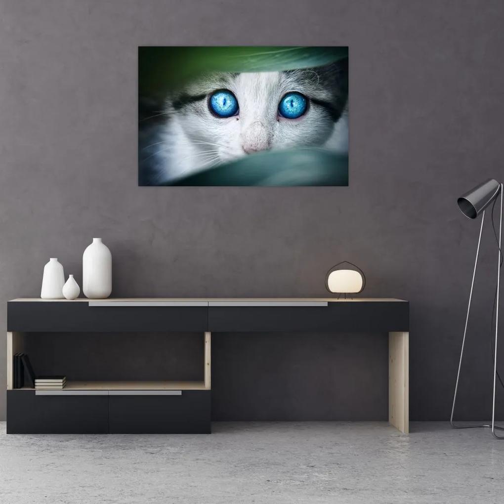 Obraz mačky (90x60 cm)
