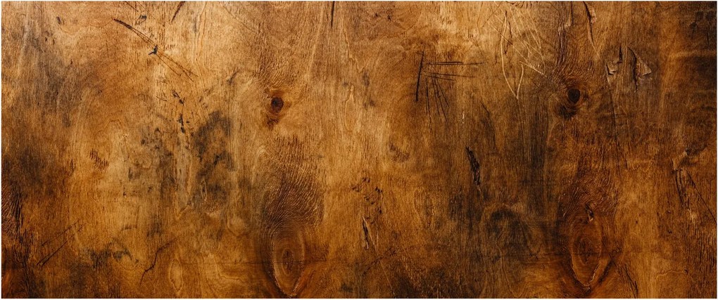 Obraz - Detail dreva (120x50 cm)