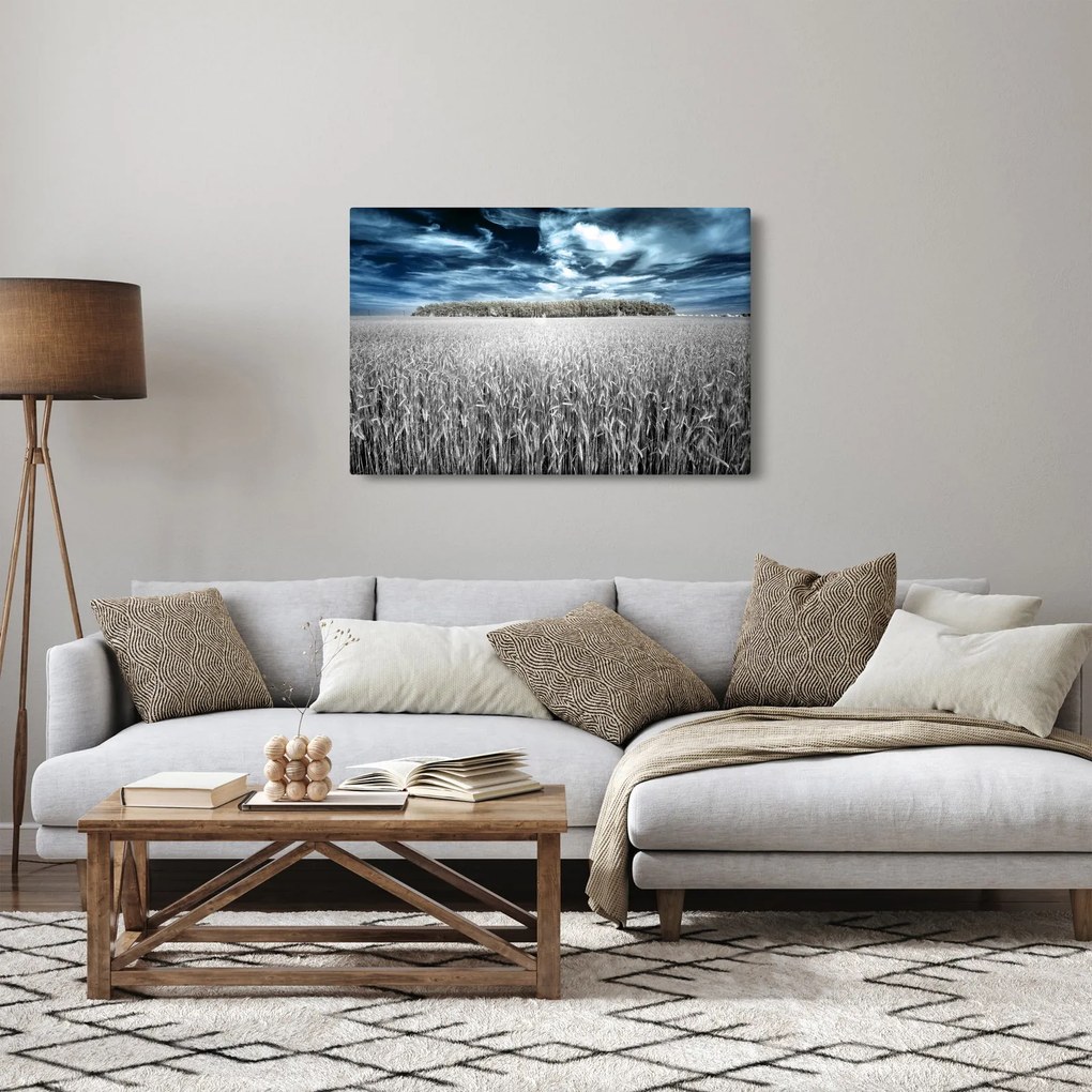 Obraz pole (90x60 cm)