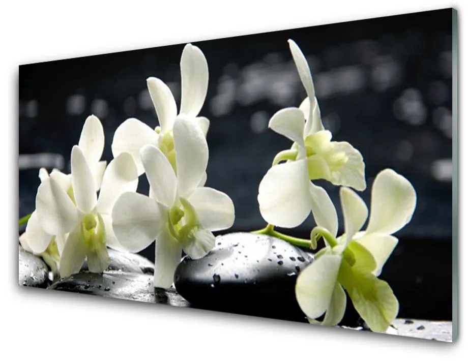 Obraz plexi Kvet kamene rastlina 140x70 cm