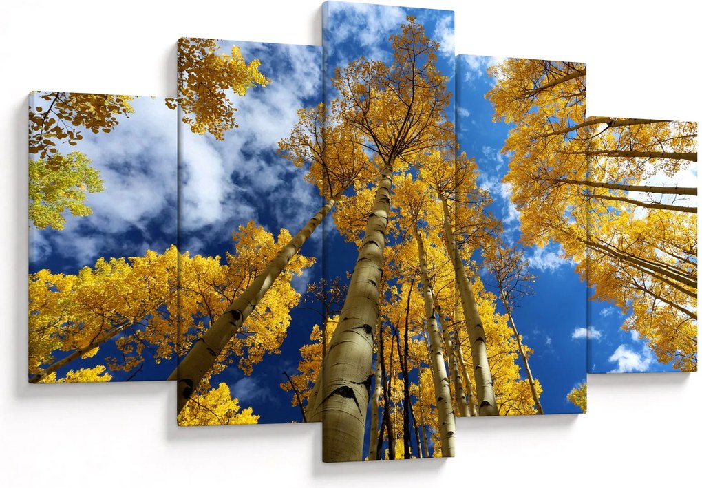 Obraz - Aspen (150x105 cm)