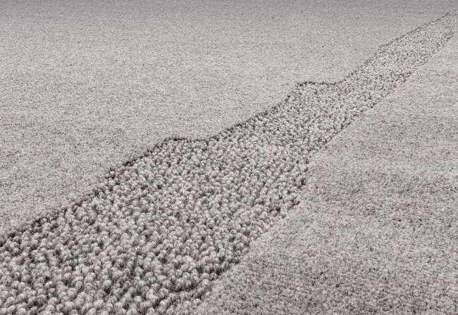 Koberec Agnella Morphic Rocca sivý