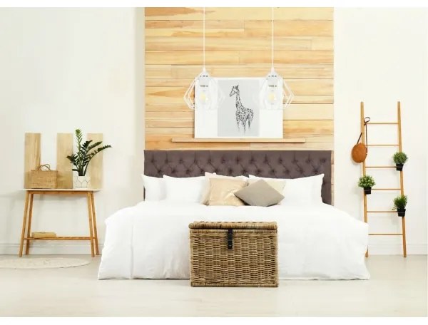 Luster na lanku CEED 2xE27/60W/230V