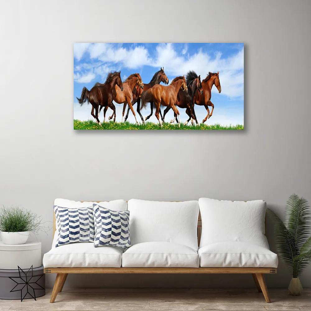 Obraz Canvas Cválajúci kone na pastvine 140x70 cm