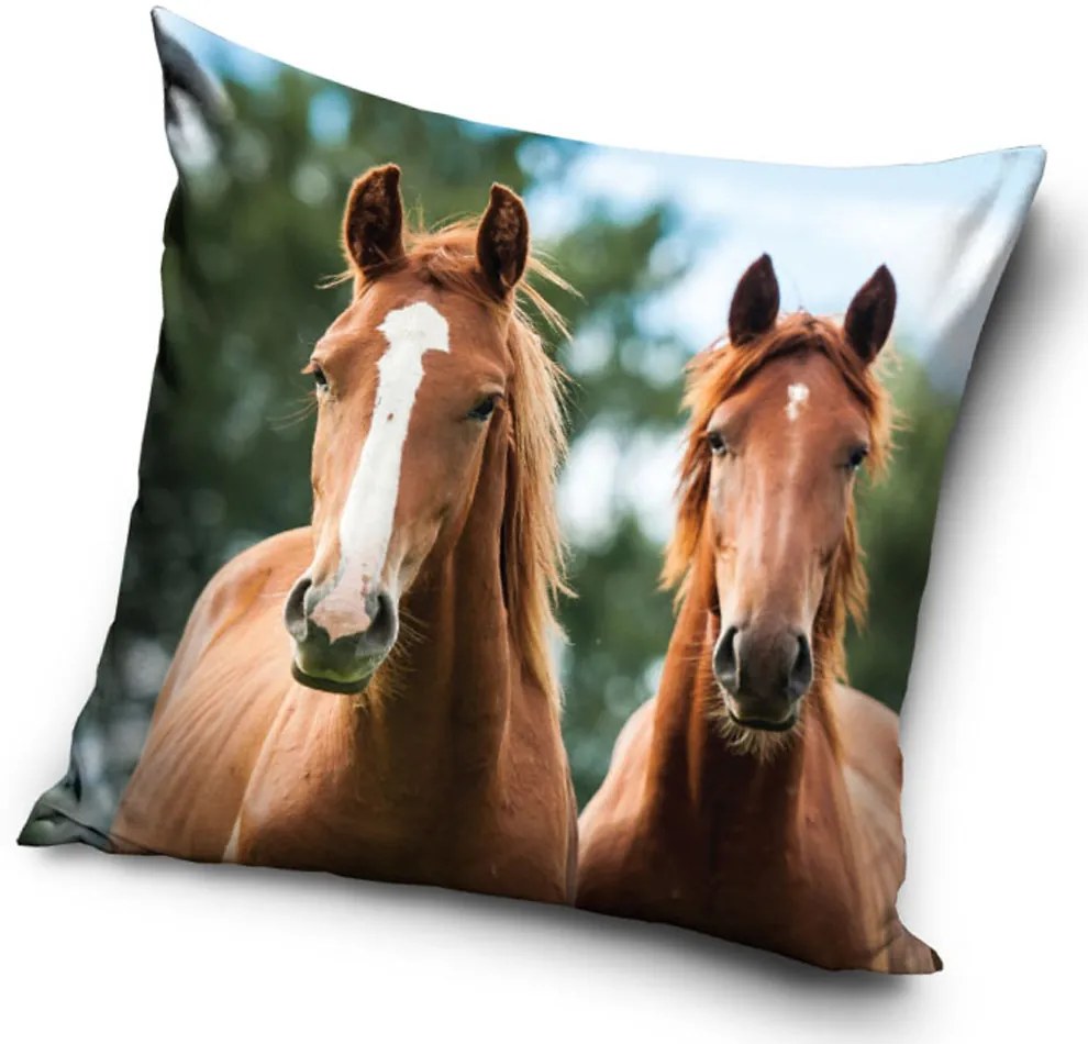DETSKÁ DEKORAČNÁ OBLIEČKA NA VANKÚŠ HORSES 40X40 CM VZOROVANÁ