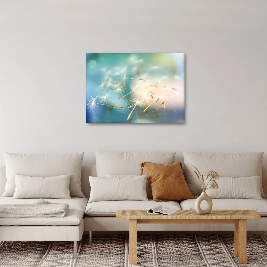 Obraz - šťastia (70x50 cm)