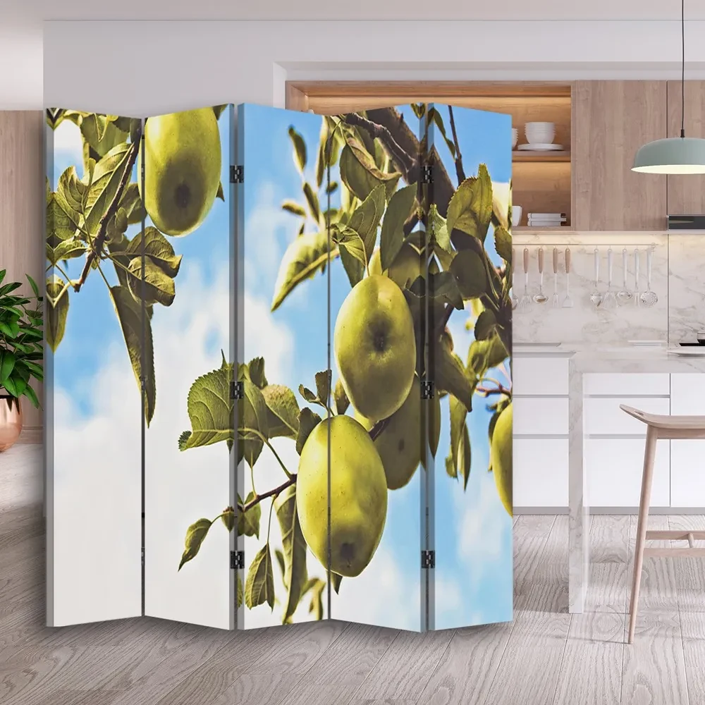 Gario Paraván Jablká na konári Rozmery: 180 x 170 cm, Prevedenie: Klasický paraván