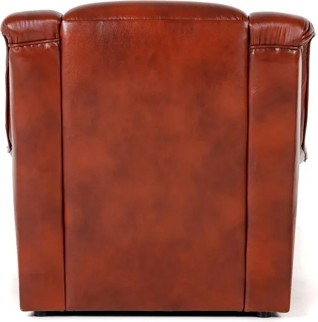 Kožené kreslo Dubaj LUX, čerešňa (A-4)