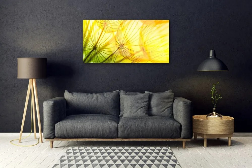 Skleneny obraz Púpavy kvety príroda 100x50 cm
