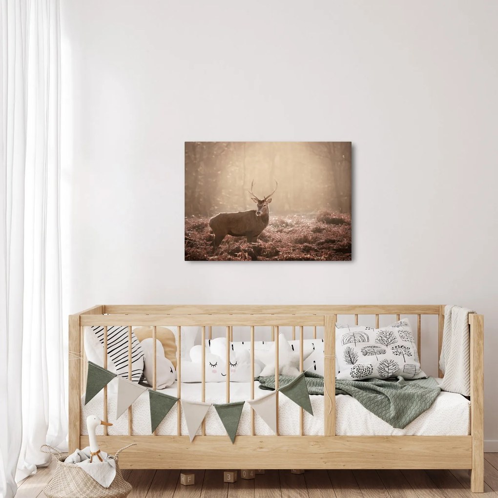 Obraz - Jeleň v lese (70x50 cm)