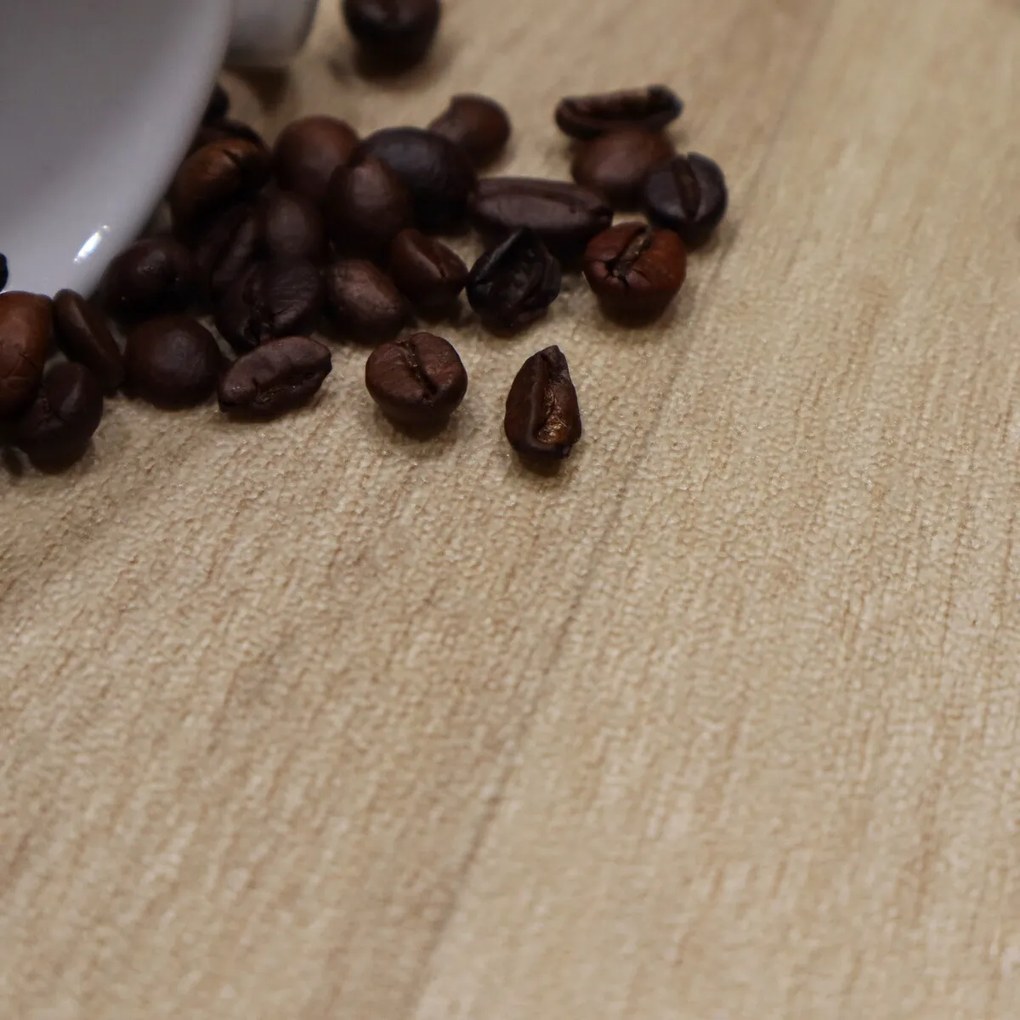 Gerflor, PVC podlaha - lino AladinTex Ultra 2346 Azay cream, na mieru, šíře 4m, hnedá, filc, chodba / predsieň