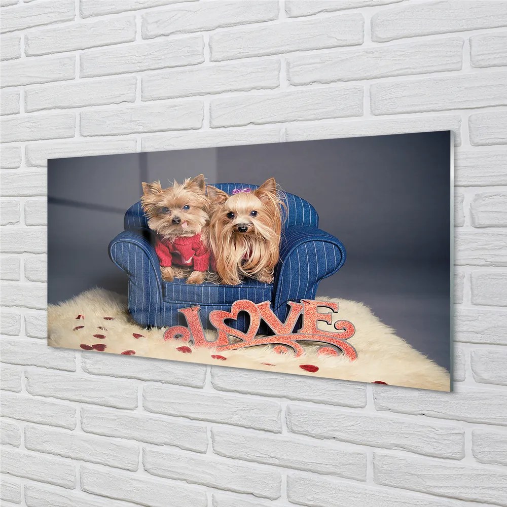 Nástenný panel  yorkie 120x60 cm