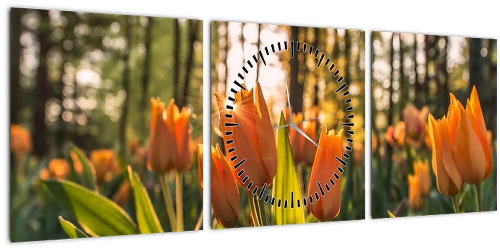 Obraz - kvety tulipánov (s hodinami) (90x30 cm)